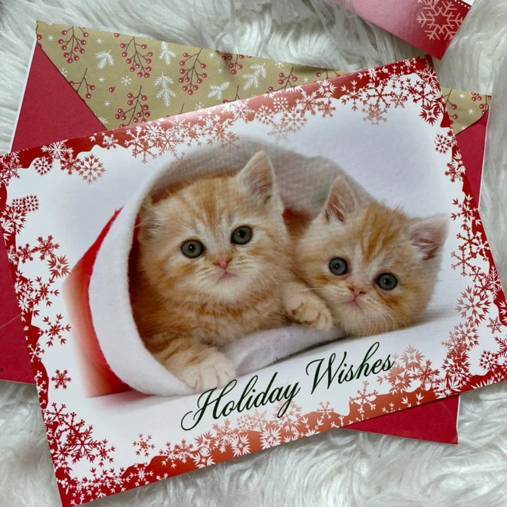 N/A matching cards cuddly